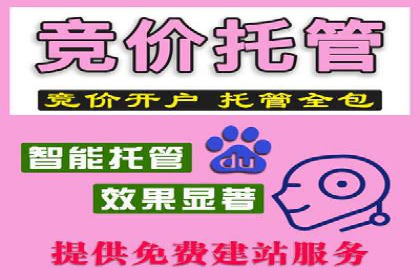 SEM运营公司案例解析：效果营销之道
